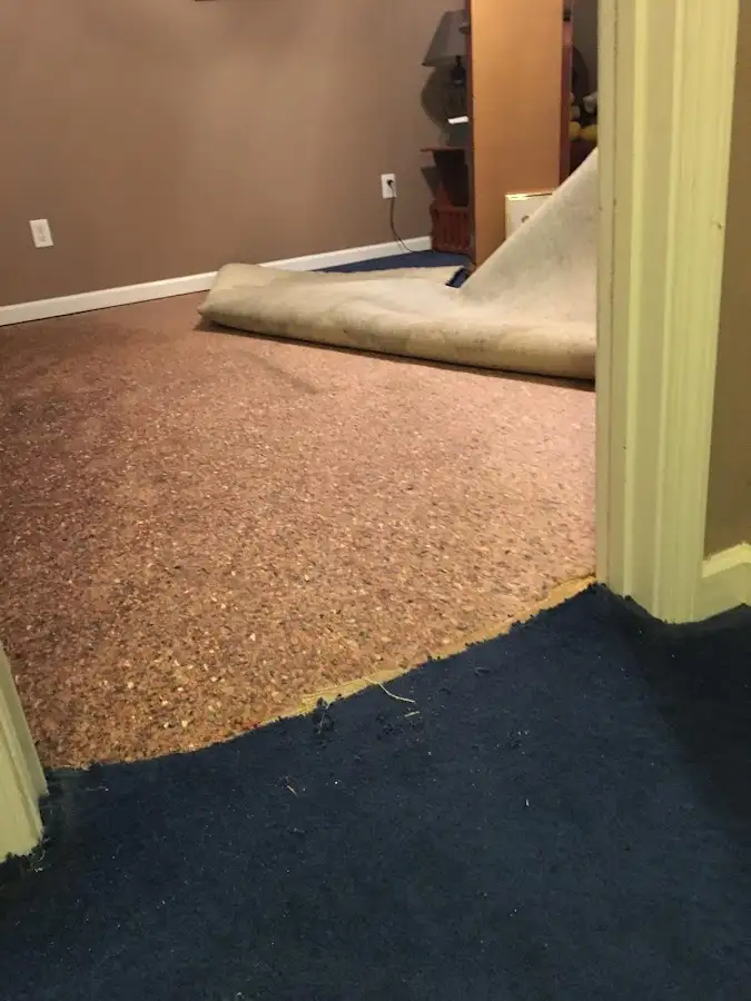 Carpet pad removal revealing water damage during Water Mitigation Services in Wilkins