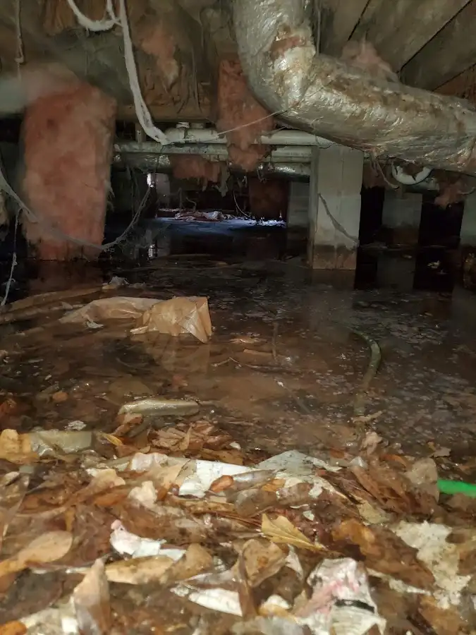 Crawl space flood assessment for Commercial Water Damage Restoration in Wilkins