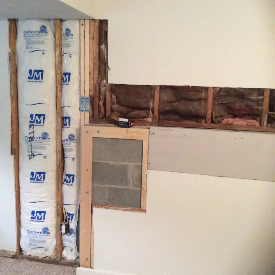 Wall insulation replacement during Odor Removal & Deodorization in Wilkins